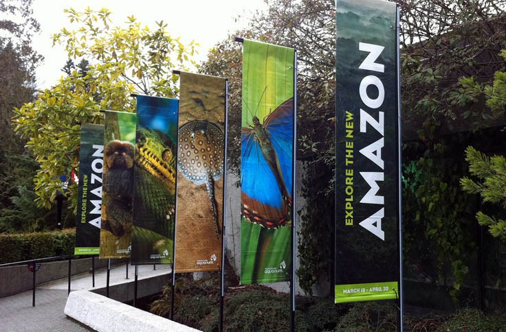 banner_printing_london_double-1